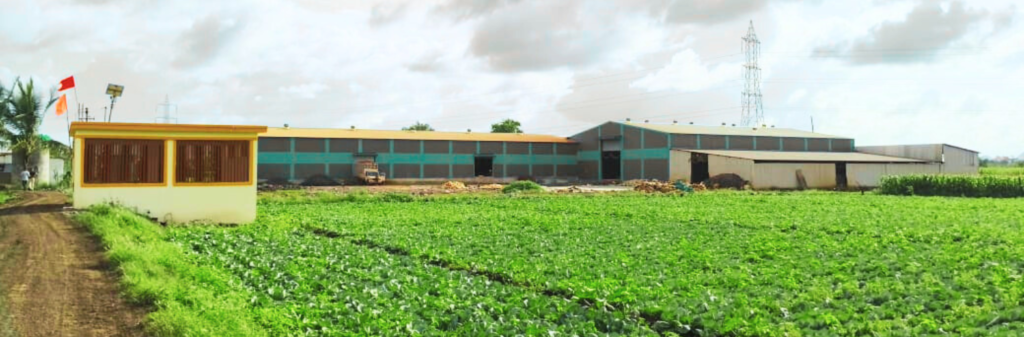 New Boraste agrotech Pvt.Ltd Company (NBA ) AGRICULTURE PRODUCTS